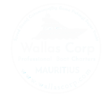 Official Logo of Wallas Corp Mauritius