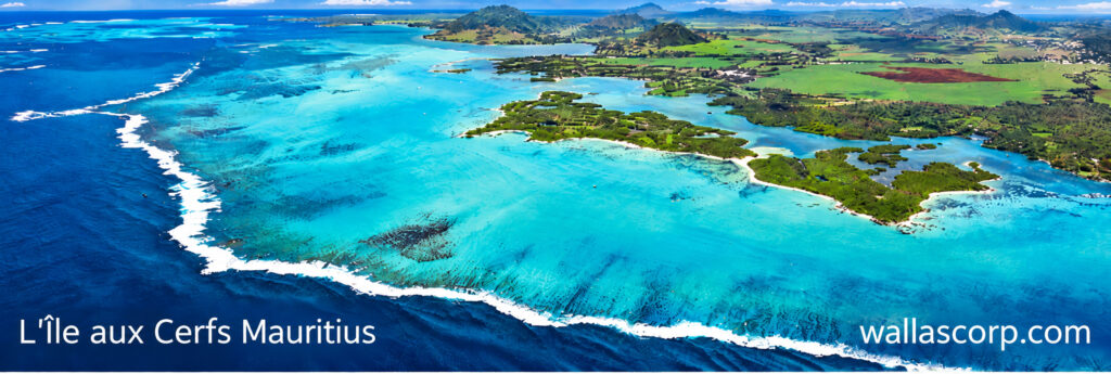 Vue aérienne de l’Île aux Cerfs, de ses plages de sable blanc et de son lagon turquoise sur la côte Est de l’île Maurice.